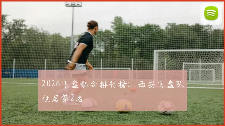 2026飞盘配合排行榜：西安飞盘队位居第2名