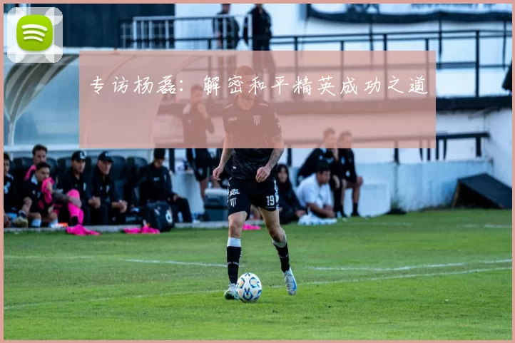 专访杨磊：解密和平精英成功之道